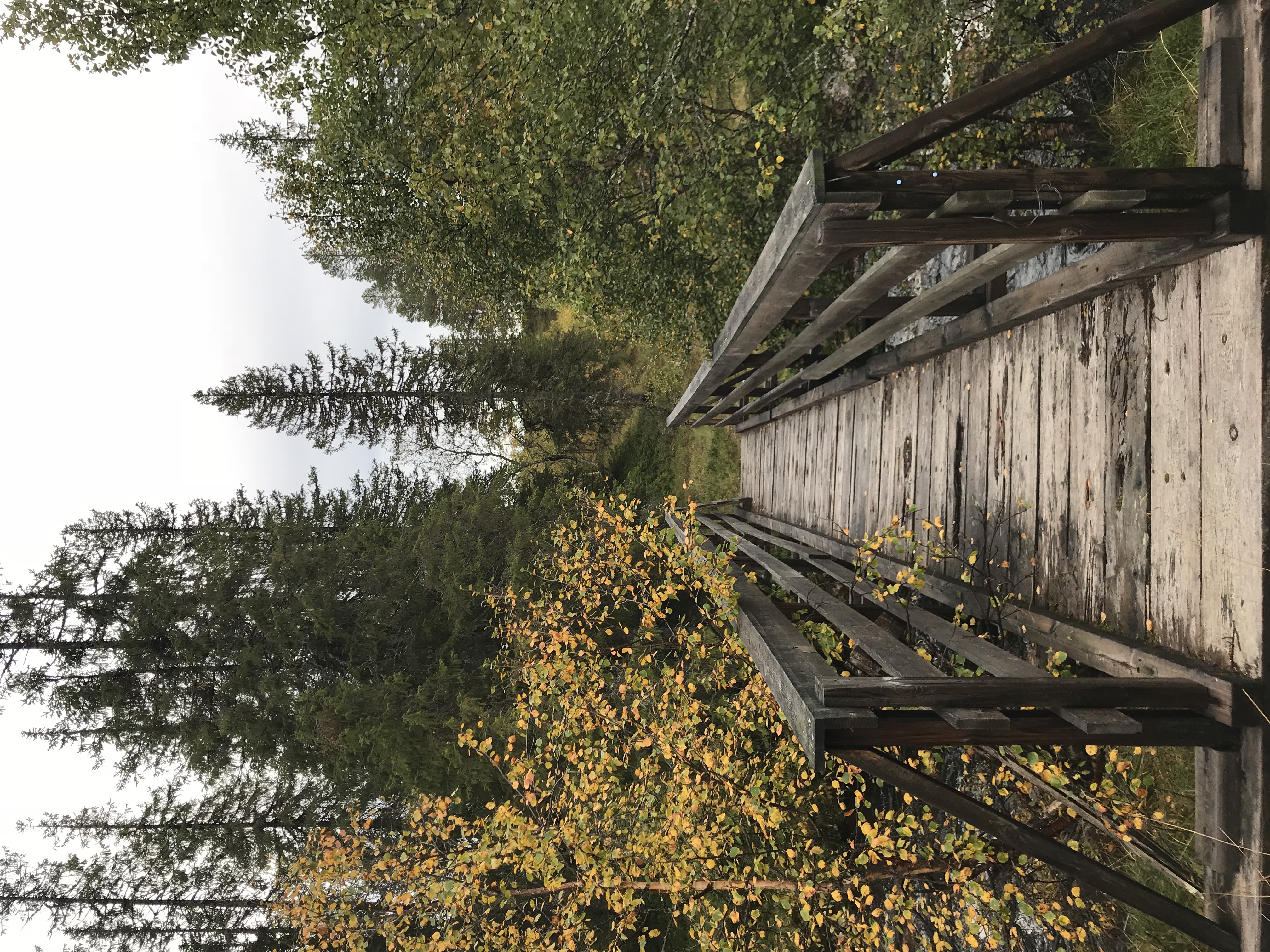 Felles tur til Brunga 15 august!