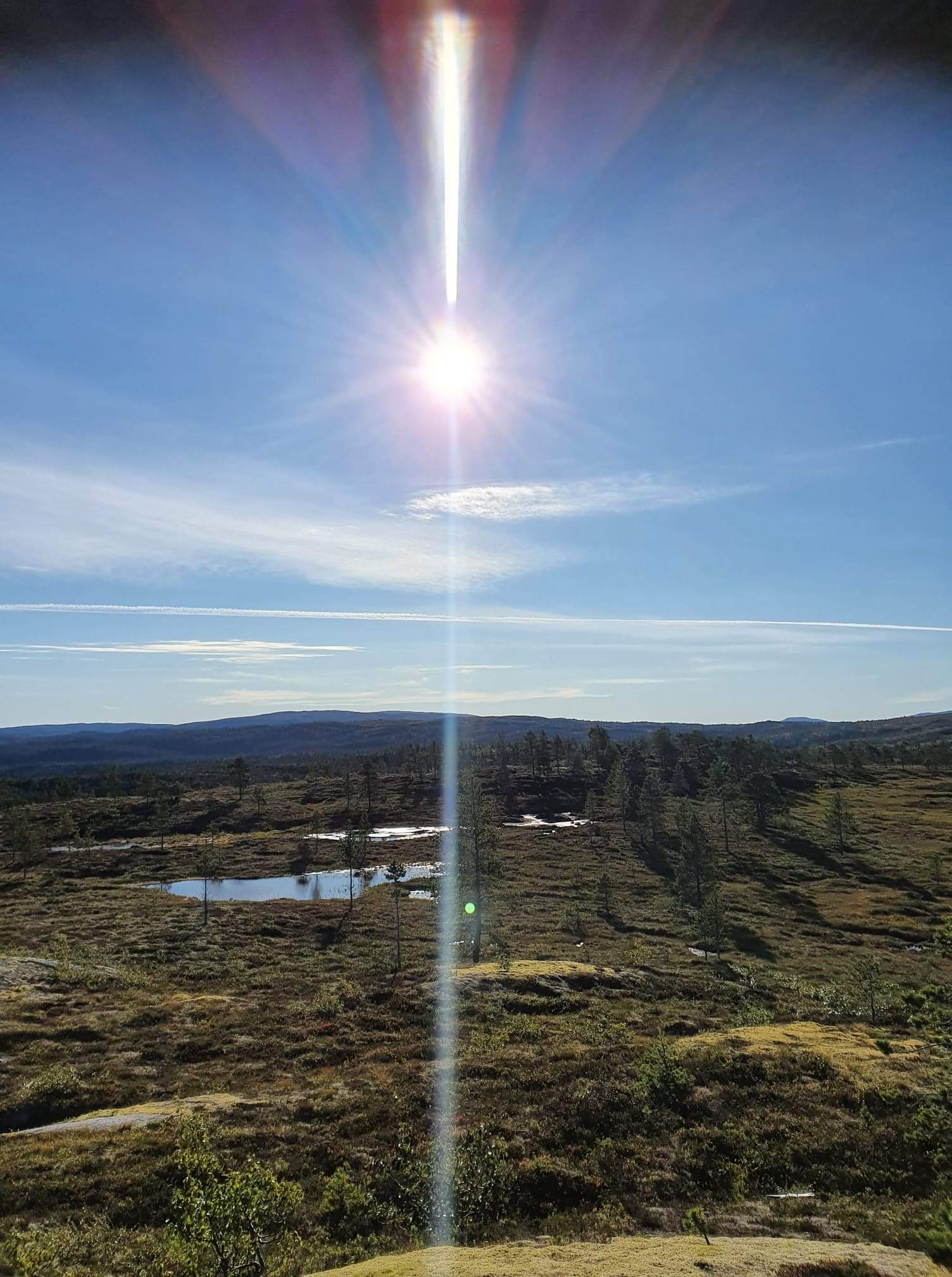 Månedens trimmer i August og månedens trimpost i September.