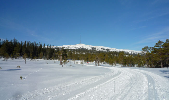 Ny bom på Langmyra