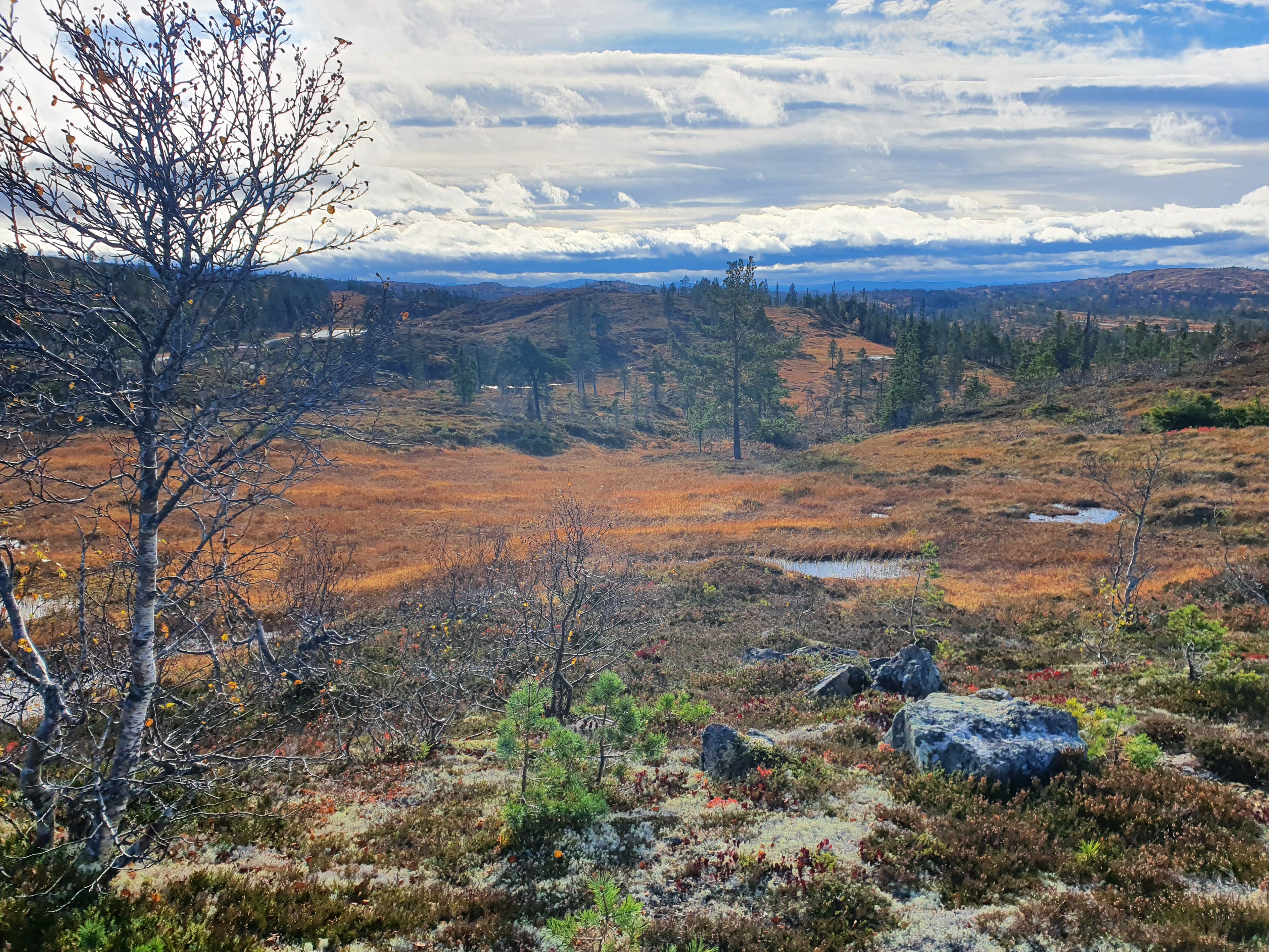 Månedens trimpost for September og Oktober