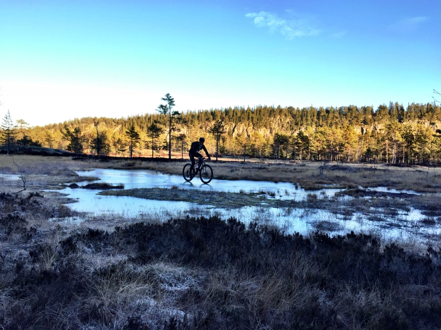 Aktiviteter i Flå IL uke 46
