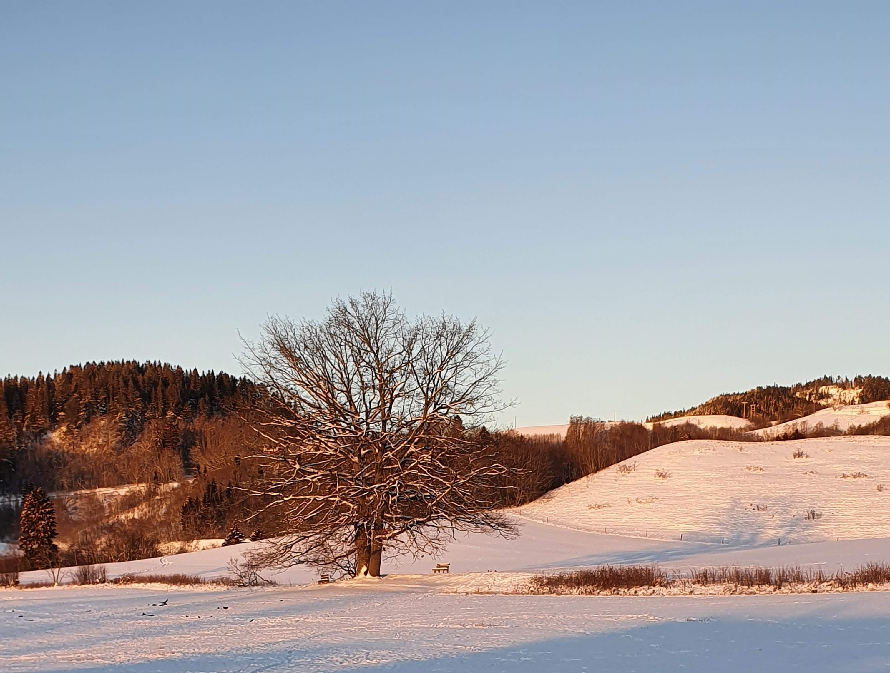 Månedens trimpost November og månedens trimpost Desember