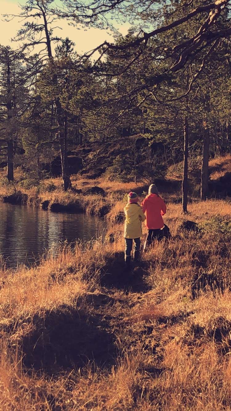 Aktiviteter i Flå IL uke 46