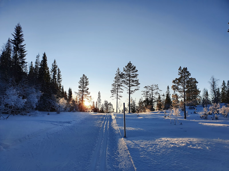 Vinner i Vinter-konkurransen