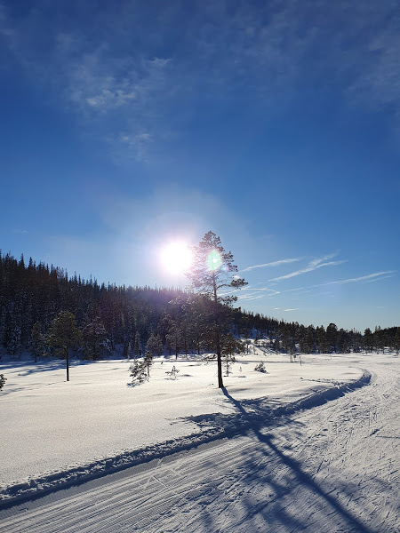 Månedens trimpost februar og månedens trimpost mars