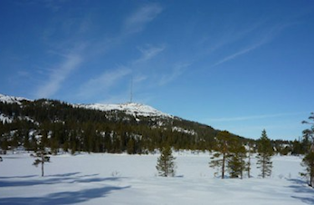 Aktiviteter i Flå IL uke 5