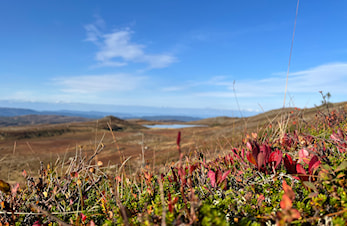 Månedens trimpost september og månedens trimpost oktober