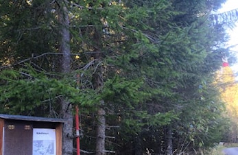 Månedens trimpost februar og månedens trimpost mars