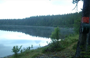 Månedens trimpost juni og månedens trimpost juli