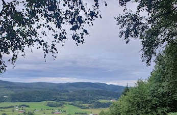 Ny benk på Blukkuåsen