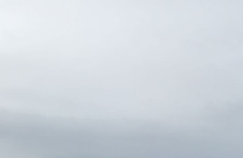 Månedens Trimpost August og Månedens Trimpost September