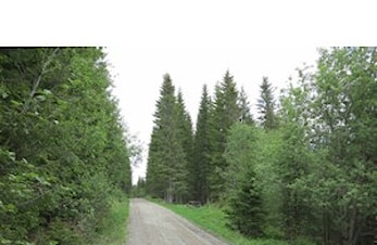 Månedens trimpost mars og månedens trimpost april