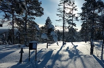 Månedens trimpost januar og februar