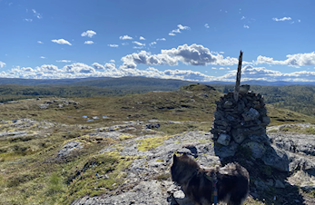 Friluftslivets år- Bli med trimgruppa på Brungfjellet.