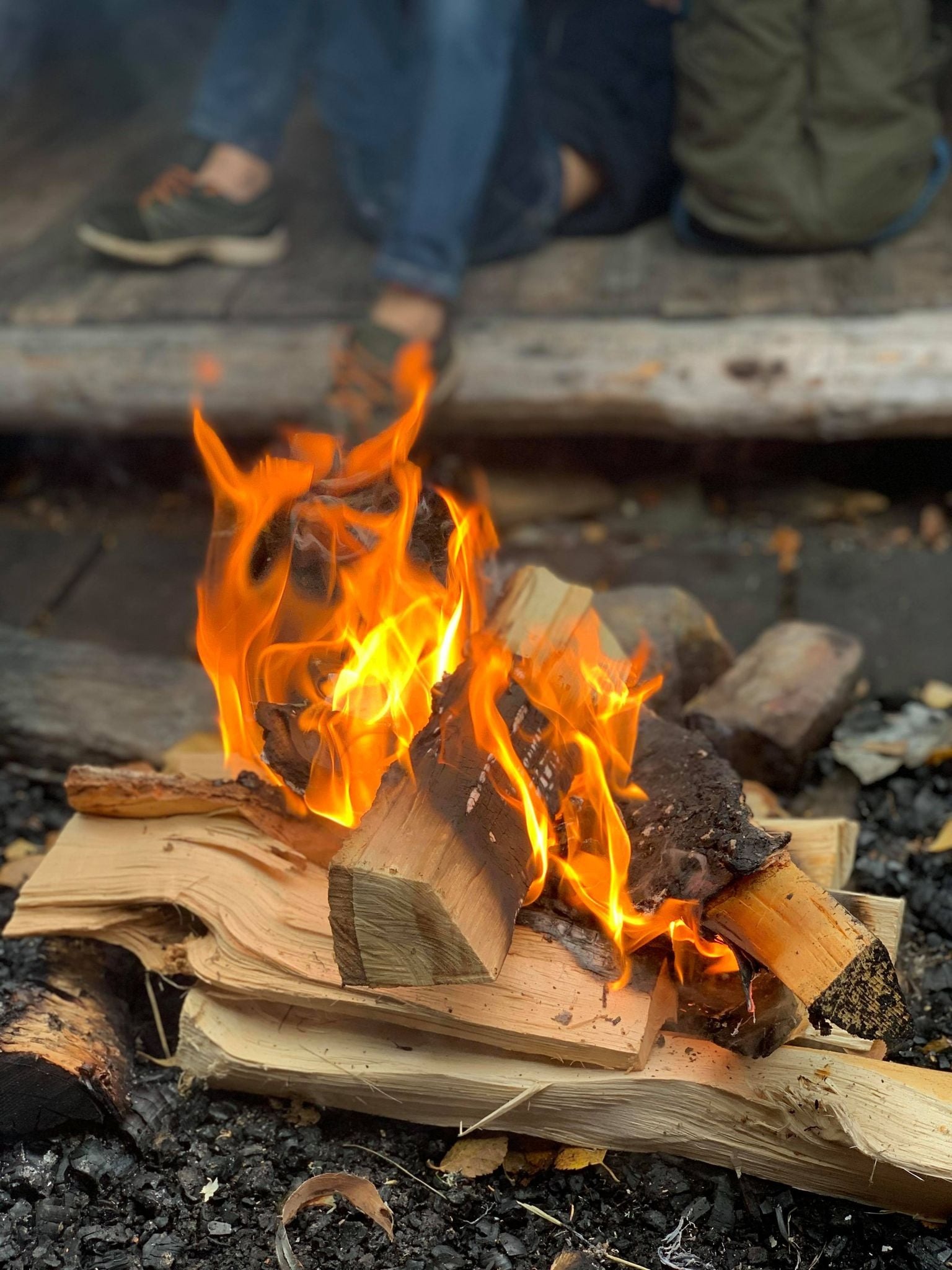 IFO tar pause fra høsten 2022