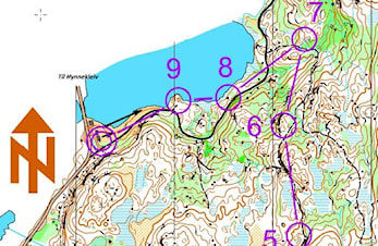 Treningsløp lørdag 20 juli på nytt kart, "Store Ljosvann"