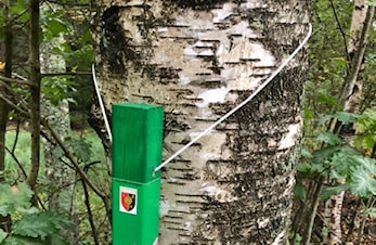 Stolpejakt under årets Brannvernuke