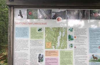 Vellykket familietur til Skiftenes Naturreservat og edellauvskogen der