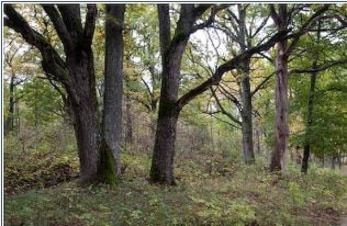 Familietur søndag 7 september