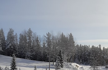 Oppkjørte skispor fra Tråer til Heddal.