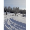 Oppkjørte skispor fra Tråer til Heddal.