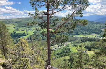 Mjaugetonuten og Nåpån turstier