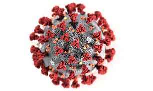 VI STOPPER TRENING, KAMPER, TURNERINGER ETC