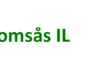 Ungdomsveileder for Romsås dans