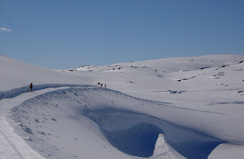 SommerSki-Samling på Sognefjellet