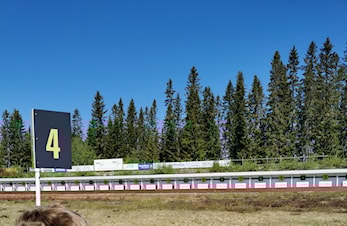 Skiskytterskole?