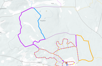 NM Hundekjøring nordisk stil 2
