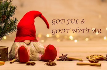 God jul og godt nytt år!