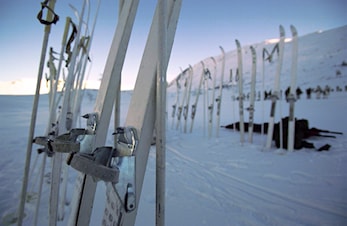 Militært skirenn tirsdag 4.februar