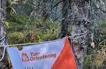AVSLUTNING ÅRETS SESONG. TURORIENTERING OG TI-PÅ-TOPP