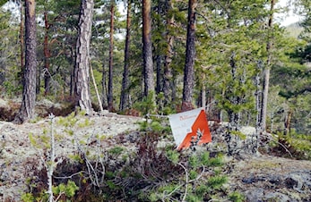 Treningsløp Ormåsen