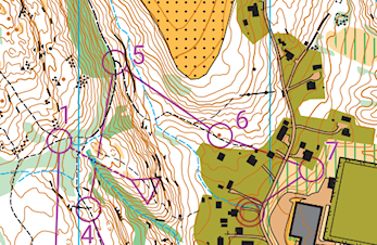 Treningsløp torsdag 11. august