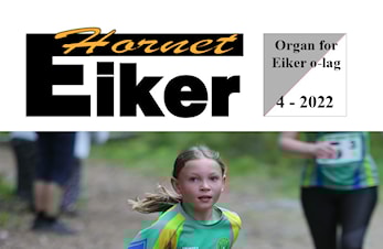 Årsberetning 2022