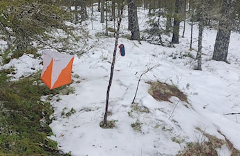 Lørdagsløp fra Ormåsen 11. nov