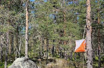 Treningsløp Skarratangen