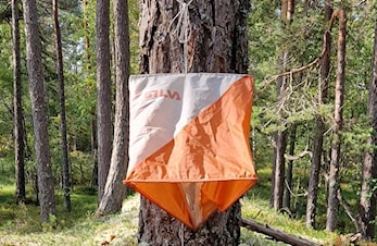Treningsløp Grytjerna