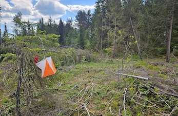 Treningsløp Årbogen