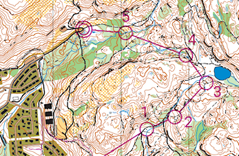 Treningsløp Harakollen