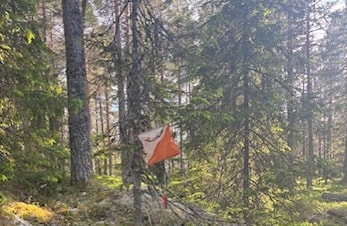 Treningsløp 4 Junger