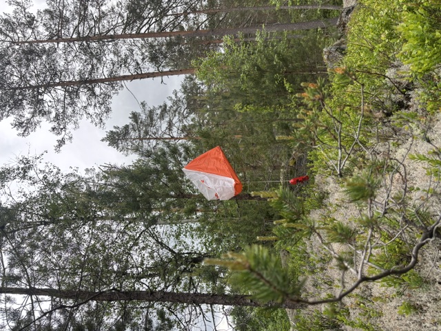 Treningsløp Junger