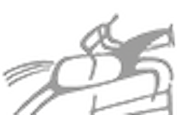 D-sprang 10. - 11. november