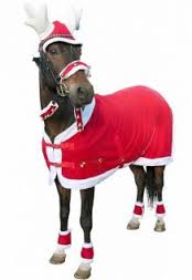 Trening Amund uke 49