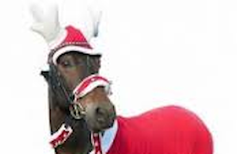 Trening Amund uke 49