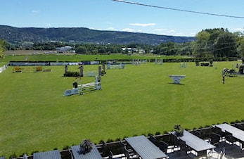 Local Champions Tour 2019