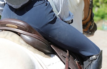 Retningslinjer for hestesporten