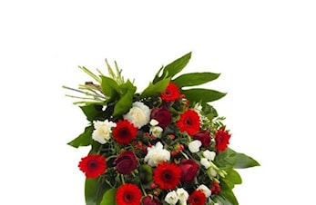 Minneord Sverre Valeur